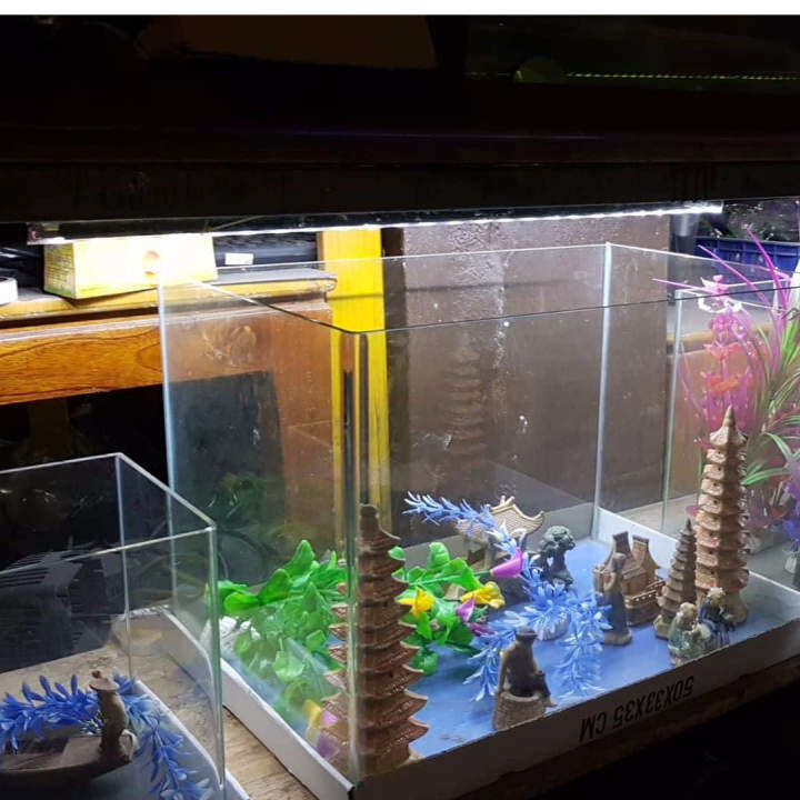 Đèn Led Hồ Bể Cá Cảnh 1M - 1M2 Chống Nước, Dài 98.5Cm 18W Caibao T4-100Led  ( Trắng) | Lazada.Vn