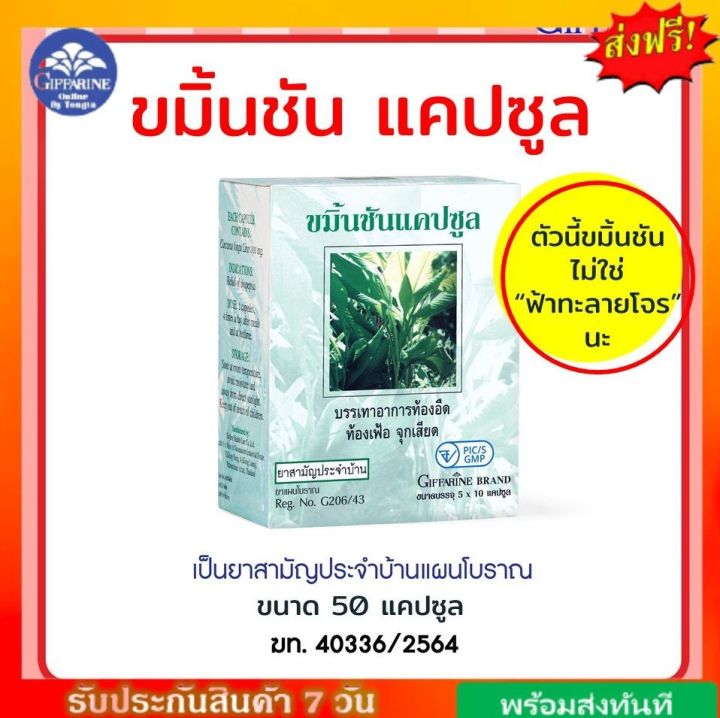 ขมิ้นชัน-แคปซูล-ยาแผนโบราณ-กิฟฟารีน-giffarine