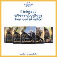 [พร้อมส่ง❗️] Richness ฟรีซดรายโปรตีนสูง มีหลายเนื้อให้เลือก? | แมวหิว