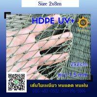 (2x8m.) ตาข่ายกันนกชนิดเชือก HDPE (UV) สีเขียว 2x2cm 1.5mm.