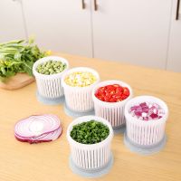 Drain fresh box sealed kitchen vegetable plastic food storage box refrigerator storage green onion drain box Kitchen storage box