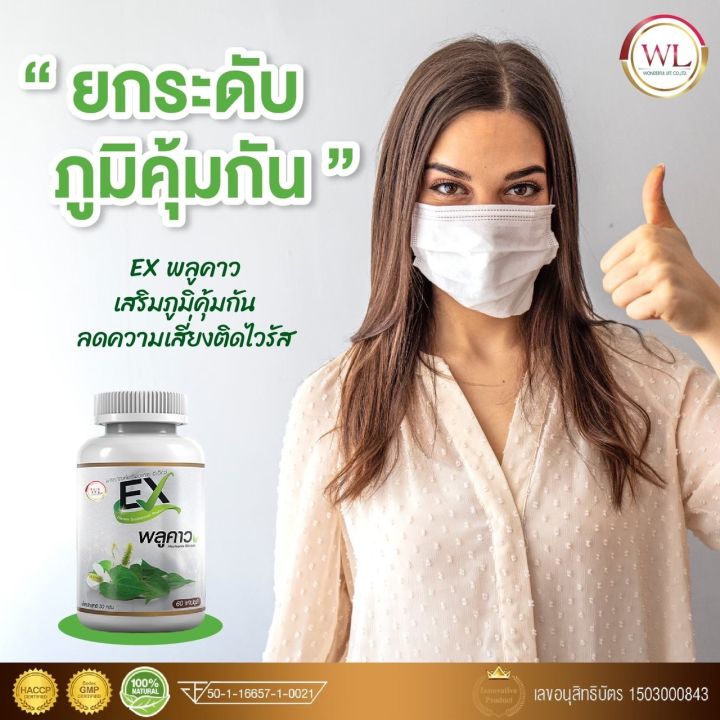 ex-พลูคาว-สารสกัดจากสมุนไพรไทย-เสริมภูมิคุ้มกัน-ต้านเชื้อไวรัสและแบคทีเรีย-ส่งฟรี