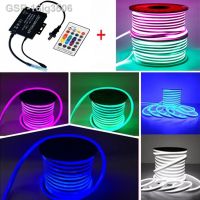 16ig3506 Magro 8X16มม. Sinal ส่วนบุคคล Carta Corda Luz Led Neon Flex Rosa Roxo Branco Rgb Ac220v 110V ควบคุม Dc24v Música