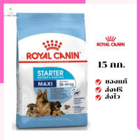 ?จัดส่งฟรีๆ Royal Canin ลูกสุนัข สูตร Maxi Starter เม็ดใหญ่  ขนาด 15 กิโลกรัม เก็บเงินปลายทาง ✨