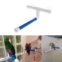 Suction Cup Bird Window and Shower Perch Toy for Parrot Macaw Cockatoo African Conure Parakeet Bath Stand Toys