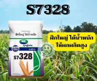 เมล็ดพันธุ์ข้าวโพด เมล็ดพันธ์ุเลี้ยงสัตว์ S7 328 ขนาด 2.5 หุน เบอร์3  10 kg