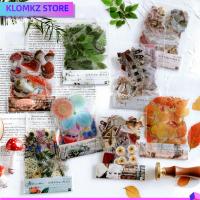 KLOMKZ 320Pcs หลากสี สติกเกอร์ติดผนัง สัตว์เลี้ยงสำหรับสัตว์เลี้ยง สติ๊กเกอร์ลายต้นไม้ สติกเกอร์สมุดติดรูป สติ๊กเกอร์ลายลูกไม้ ดีไอวาย