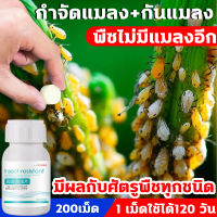 HFC ยากำจัดเพลี้ย ยาฆ่าแมลงกินใบ 1 เม็ดใช้ได้120 วัน 40g 200เม็ด ฆ่าแมลงเท่านั้น ไม่ทำร้ายพืช กำจัดแมลงได้กว้างขวาง เพลี้ยไฟ แมลงหวี่ขาว ยาฆ่าเพลี้ย ยาเพลี้ย ยากำจัดแมลงพืช ยากำจัดสัตรูพืช ยาฆ่าแมลง สารกำจัดแมลง ยาเชื้อราในพืช