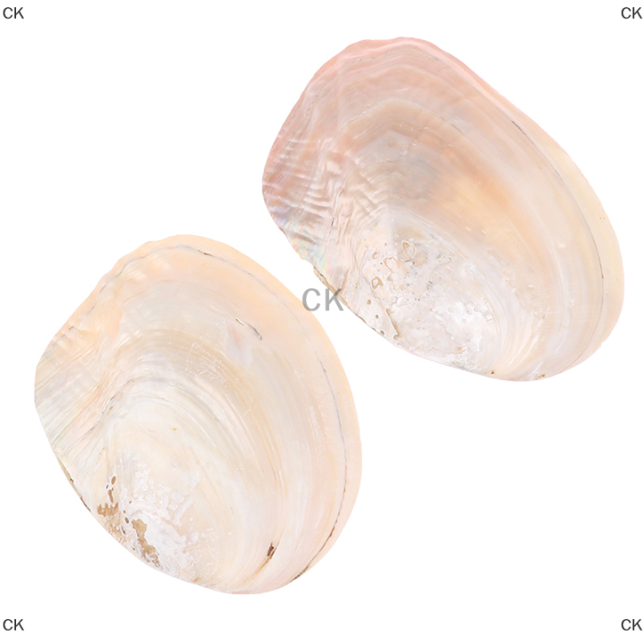 ck-มุกน้ำจืดธรรมชาติเปลือกหอย-oyster-mother-of-pearl-nautical-decoration