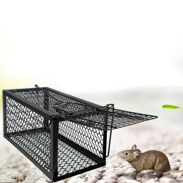 Reusable Plastic Portable Mouse Trap For Mice Control Rat/mouse/rodent Trap  Cage Mice Traps..