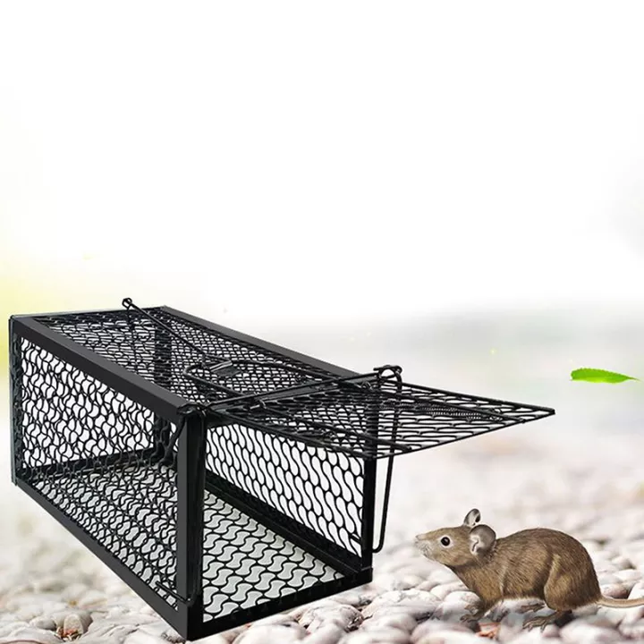 Live Animal Pest Rodent Rat Trap Cage Mouse Trap Mouse Control Bait Catch 