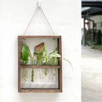 【CW】◑  Test Tubes Glass Wall Hanging Terrarium Vase with Holder for Propagation Hydroponic