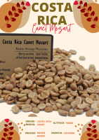 พร้อมส่ง เมล็ดกาแฟดิบ Costa Rica Canet Mozart Raisin Honey process/ เมล็ดกาแฟนอก/ เมล็ดกาแฟสารคอสตาริกา