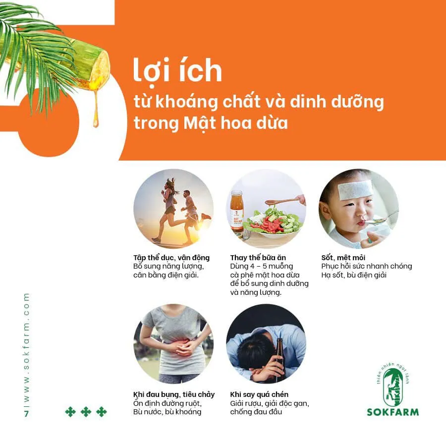 SOKFARM: Đường Hoa Dừa 135gr - Mật Hoa Dừa cô đặc 65gr 15