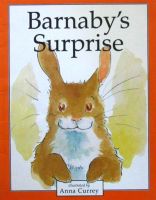 Barnaby S surprise by Anna Currey paperback Piccadilly Barnaby