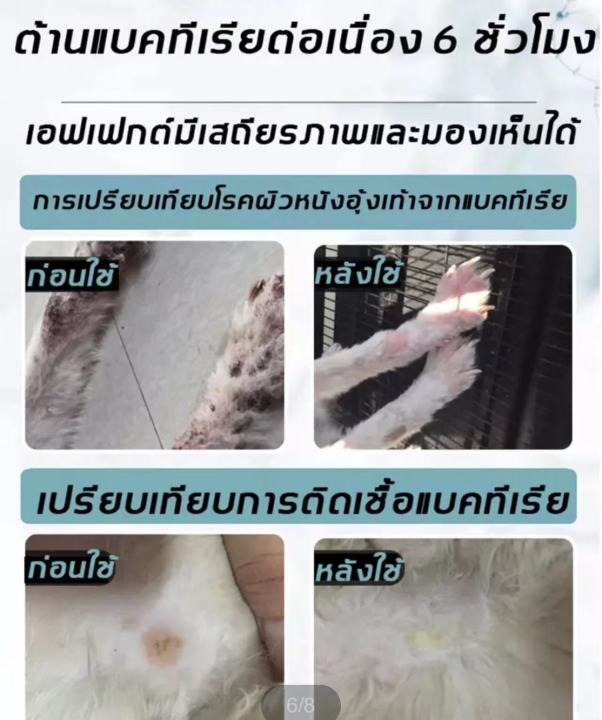 vegebrand-น้ำยาอาบน้ำหมาแชมพูให้สัตว์เลี้ยงรักการอาบน้ำ-สำหรับผิวหนังแพ้ง่าย-แก้คัน-เชื้อยีสต์-เชื้อรา-แชมพูสุนัข-น้ำยาอาบน้ำเชื้อราแมว-แชมพูอาบน้ำแมว-แชมพูเชื้อราสำหรับแม-แชมพูอาบน้ำหมา-แชมพูแมว-แชมพ