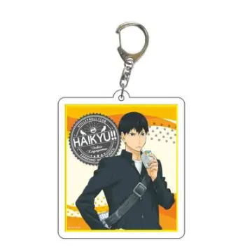 Haikyuu!!、Shoyo Hinata Tobio Kageyama Anime Cosplay Pins Brooch Badge Toys  9pcs