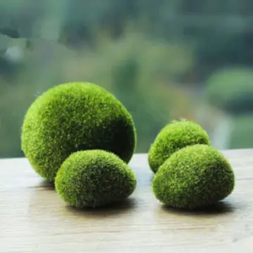 2-3cm Marimo Moss Balls Live Aquarium Plant Algae Fish Shrimp Tank Ornament  Simulation Green Algae Balls Artificial Plant