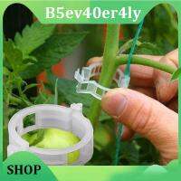 B5ev40er4ly SHOP B5ev40er4ly SHOP 50pcs Gardening Plant Clip Anti-break Holder Tomato Tree Support Stand Branches Garden Strengthen Fixing Stalk Retaining