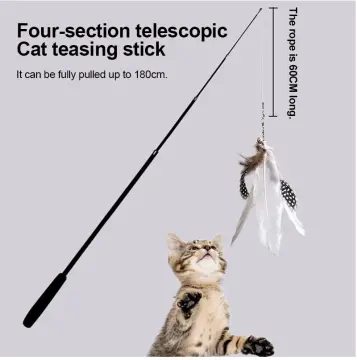 Mainan Kucing Stik Pancing dengan Cicak I Pet Cat Toy Fishing Rod  Retractable Rod with Lizard