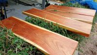 PadooSiam  แผ่นไม้สำเร็จรูป ไม้แผ่นเดียว ไม้จริง Table Top HardWood ท๊อปโต๊ะ 30x100cm ท๊อปไม้ แผ่นไม้ธรรมชาติ แผ่นไม้ แผ่นไม้ทำโต๊ะ แผ่นไม้ติดผนัง wood diy