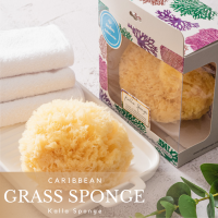 ฟองน้ำธรรมชาติ KALLA SPONGE ชนิด Grass สีเหลืองอ่อน (Bleached) สำหรับอาบน้ำ