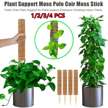 4-Pieces: Coco Coir Extendable Moss Pole for Climbing Plants | 32cm