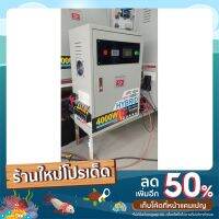 โซล่าเซลล์ ชุดผลิตไฟฟ้า 24V4000W 2 ชาร์จเจอร์ดำ อินเวอร์เตอร์งานหนัก ใช้งานตลอด 24 ชั่วโมง