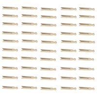 100 Wooden Clothespins, Wooden Clips, Doll Clips, Home Wooden Clips