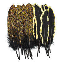 20 ชิ้น/ล็อต Gold Golden Black Duck Goose Feathers สำหรับงานฝีมือ DIY แจกัน Geese Feather Decor อินเดีย Headdress อุปกรณ์ตกแต่ง-final1