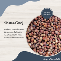 ฟ่างใหญ่ (ขาว แดง) แบ่งขาย 200-500G. อาหารนกแก้วฟอพัส เลิฟเบิร์ด ค็อกคาเทล กรีนชีค