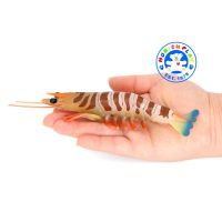 Munich Play - โมเดล Tiger Prawn ก้ง ลายเสือ ขนาด 15.50 CM (จากหาดใหญ่)