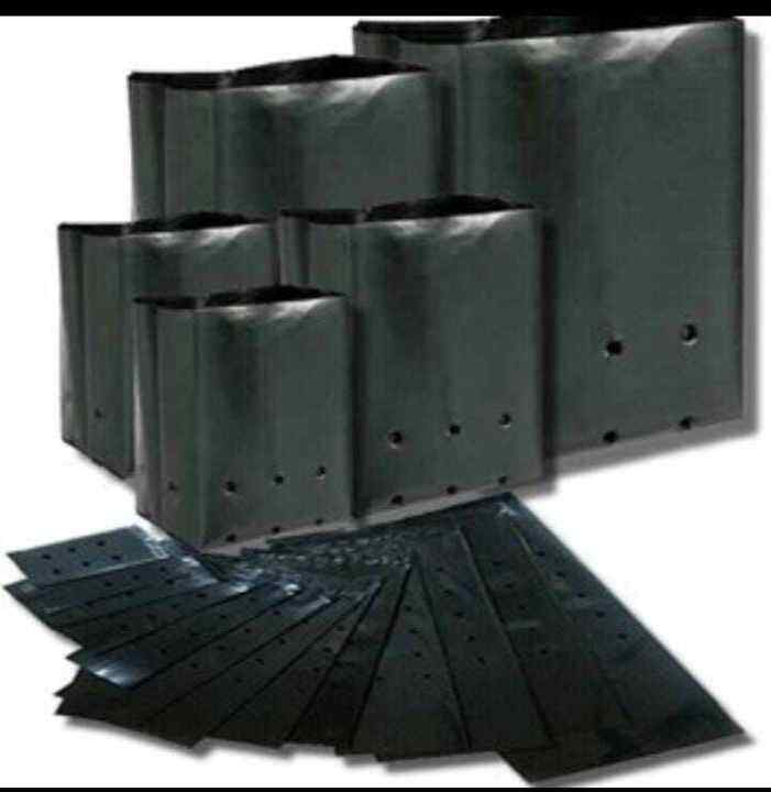 Plastik polybag polibag polibeg polybeg tanaman ukuran 60x60 cm isi 1kg ...