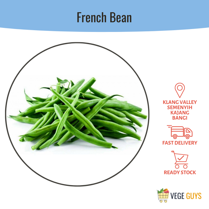 French Bean 四季豆 (+/ 200g) Lazada