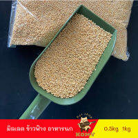 มิลเล็ตขาว White Millet เกรดA อาหารนกแก้ว และสัตว์ฟันแทะ สะอาด ร่อนฝุ่นทุกถุง (แบ่งขาย 500G / 1KG)