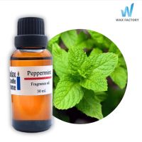 หัวน้ำหอม กลิ่น เปปเปอร์มิ้นท์ Peppermint Fragrance oil สำหรับเทียนเเละเครื่องหอม 30ml/100ml