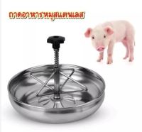 ถาดอาหารสูกหมู สแตนเลสแท้ 10"