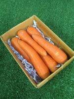 แครอทออสเตรเลีย 1 กิโล? - คั้นน้ำอร่อย แครอทนำเข้า แครอทนอก แครอทหวาน Carrot