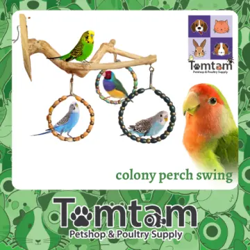 Cockatoo on sale bird toys