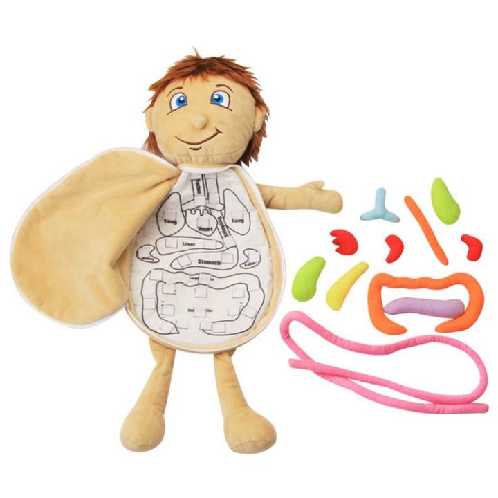 human-body-toys-3d-early-learning-human-body-organs-toys-body-organ-awareness-teaching-tools-montessori-preschool-educational-organ-plush-toys-for-kids-cosy