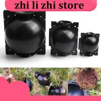 zhilizhi Store 5cm 8cm 12cm Plant Rooting Ball Case Fruit Tree Root Box Planter Cases Grafting Growing Breeding For Garden Supplies