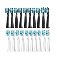 R 10 Pcs Replacement Brush Head Soft Dupont Bristle Refills For Fairywill/Seago Electric Toothbrush FW/SG 507/508/515/551/917/959