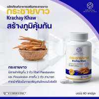 กระชายขาวสกัด สูตรเข้มข้น!! ขนาดบรรจุ 60 แคปซูล Crystal medical clinic Brand ให้สาร Pandulatin A , Pinostrobin สารกระชาย 504 mg. กระชายสกัด ต้านโควิท เสริมภูมิคุ้มกัน