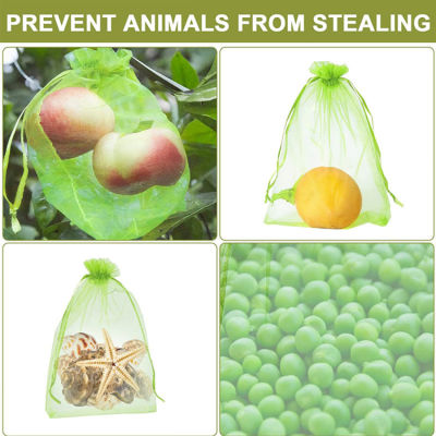 ถุงป้องกันผลไม้100ชิ้นถุงตาข่ายใส่ผัก Grow ควบคุมศัตรูพืชป้องกันนกสวนองุ่นสตรอเบอร์รี่