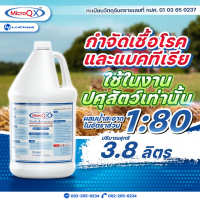 น้ำยาฆ่าเชื้อแบคทีเรีย ไมโครคิว เอ็กซ์ MicroQX ขนาด 3.8 ลิตร น้ำยาฆ่าเชื้อในฟาร์ม ล้างคอกสัตว์ คอกหมู ใช้ในด้านปศุสัตว์