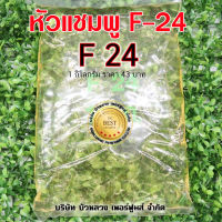 หัวแชมพู F24 หัวแชมพู สารขจัดคราบมัน น้ำยาล้างจาน