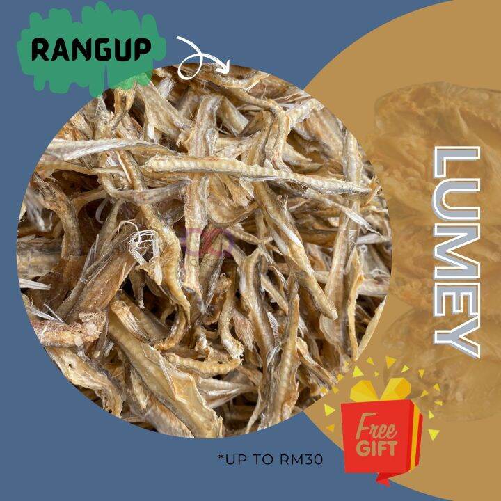 Ikan Masin Lumey Lumi (100g,300g) Pasti Rangup 