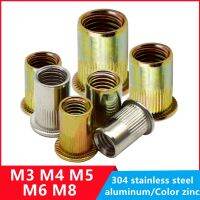 Mur Keling Kepala Datar 304 Baja Tahan Karat M3 M4 M5 M6 M8 M10 M14 Rivnut Topi Berlapis Seng Mur Keling Berulir Mur Keling Aluminium