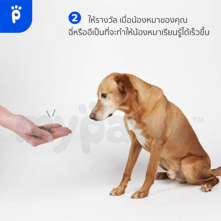 my-paws-สเปรย์ฝึกขับถ่ายสุนัข-c-สเปรย์ฝึกหมาฉี่-ป้องกันการขับถ่ายและฉี่ไม่เป็นที่