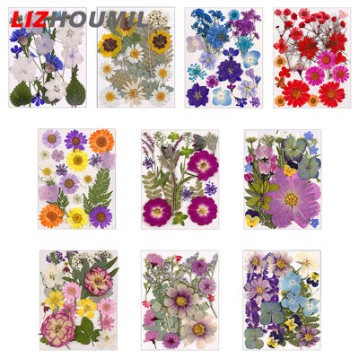 LIZHOUMIL สติกเกอร์ติดดอกไม้ทับแบบทำมือดอกไม้แห้ง1ถุงสำหรับเคสโทรศัพท์งานหัตถกรรมงานศิลปะสำหรับตกแต่งเล็บ